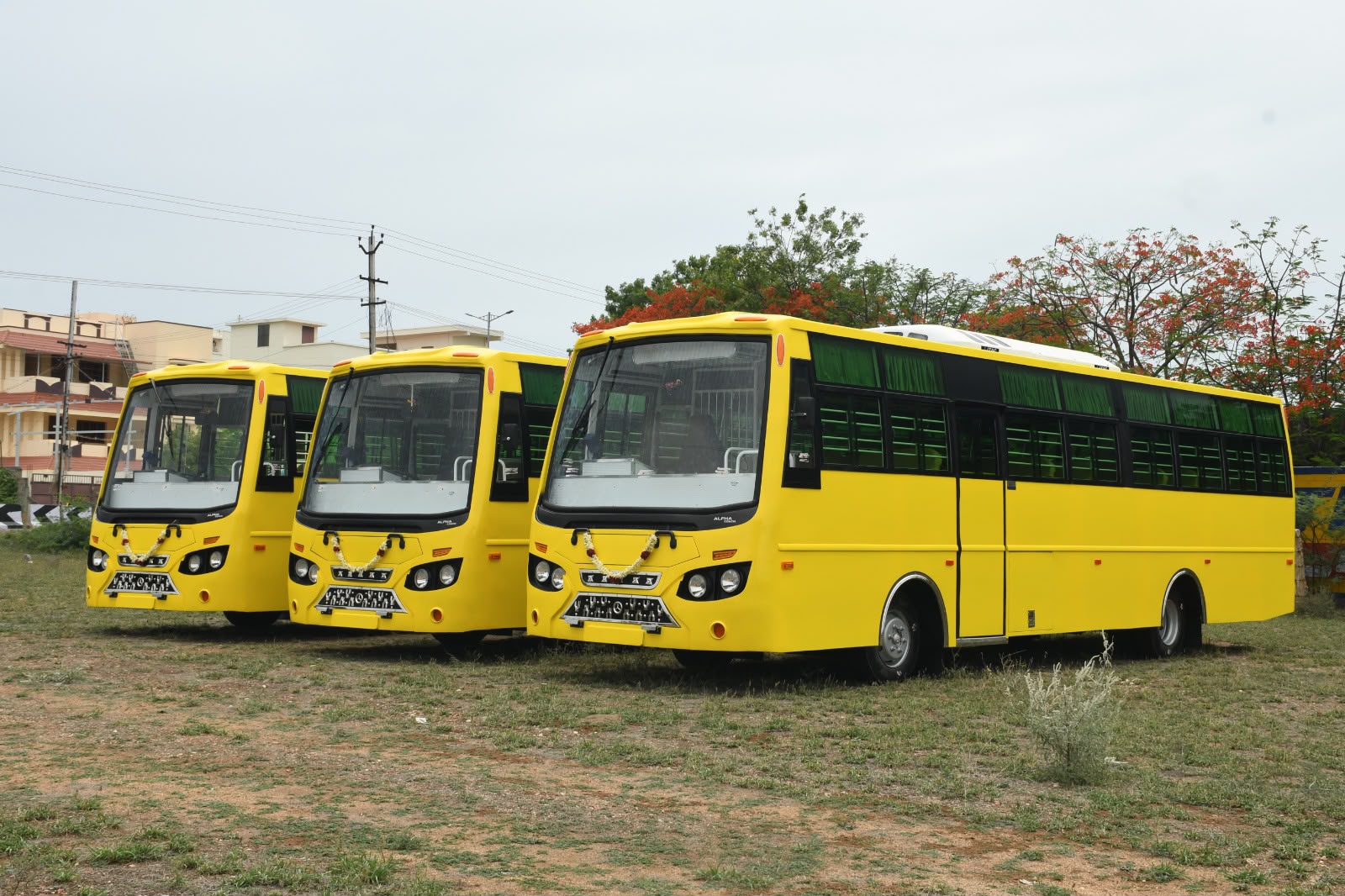 Three yellow Alfha school bus bodies lined up after delivery in Karur, Tamil Nadu